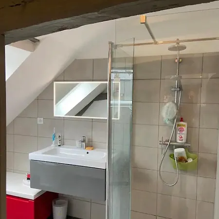Apartamento Location 12 Personnes Hyper Centre Le Mans